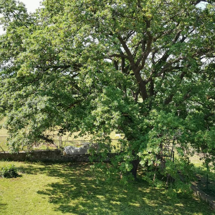 Fattoria Tolomei Campagnatico 外观 照片