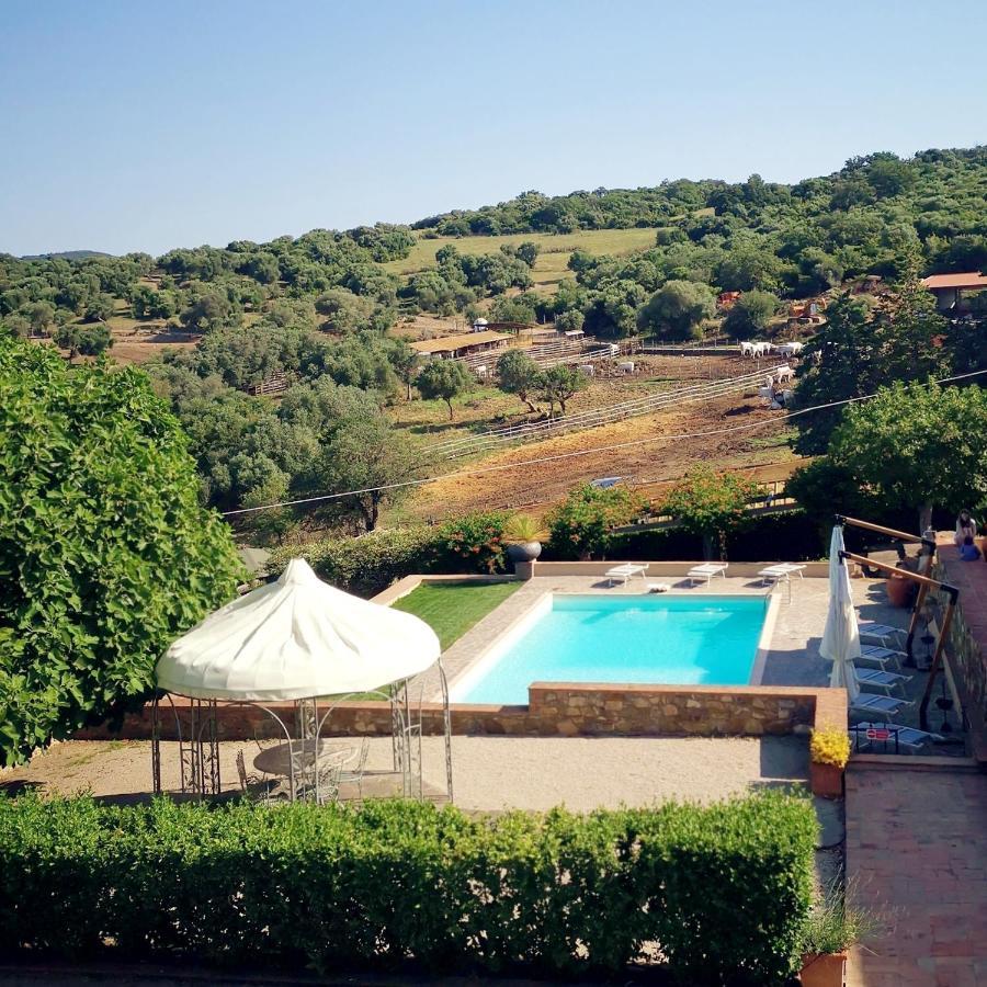 Fattoria Tolomei Campagnatico 外观 照片