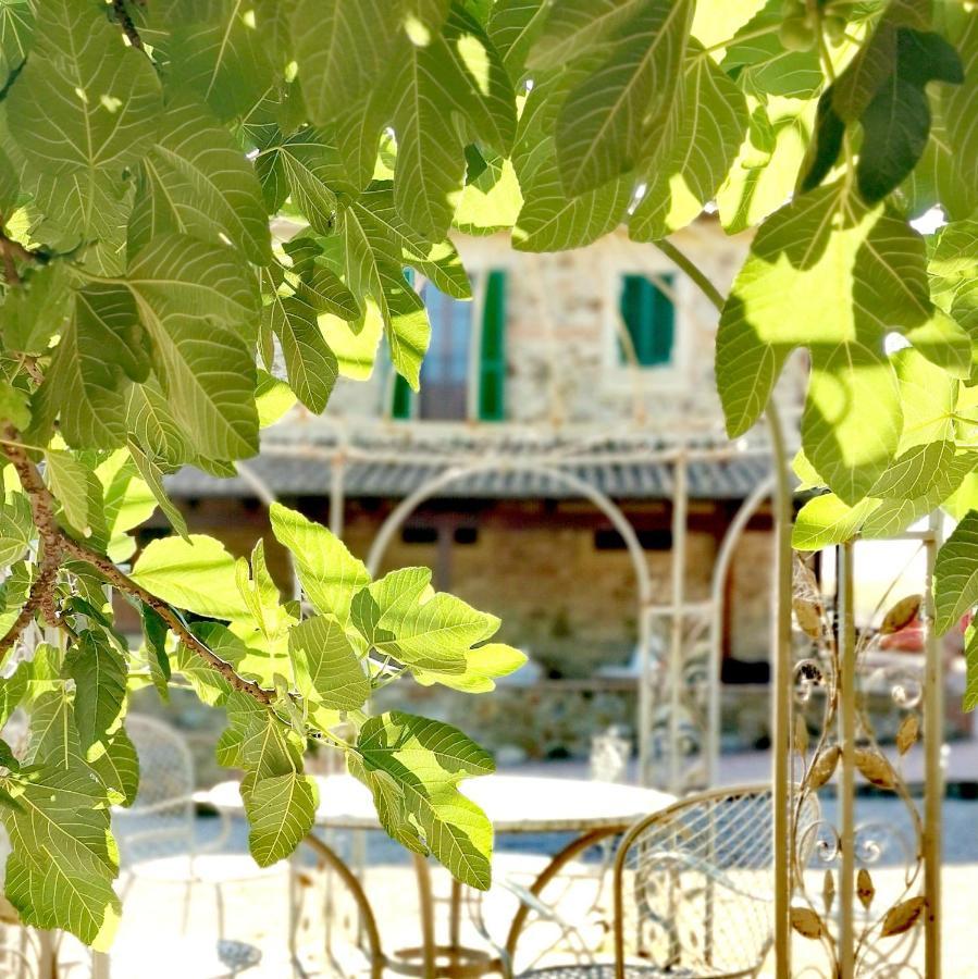 Fattoria Tolomei Campagnatico 外观 照片