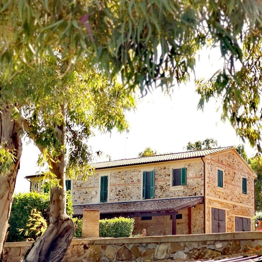 Fattoria Tolomei Campagnatico 外观 照片