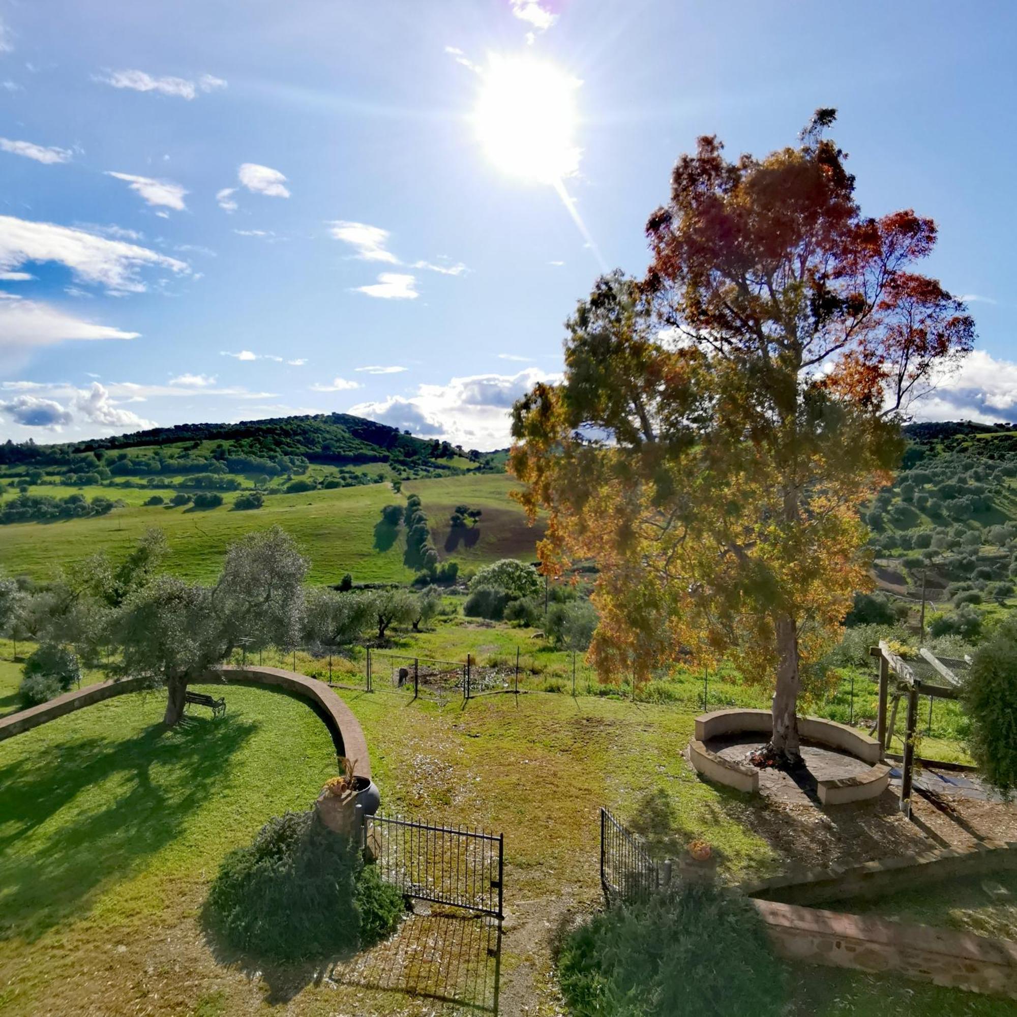 Fattoria Tolomei Campagnatico 外观 照片